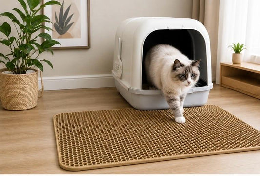 2-Layer Cat Litter Mat – Stop Litter Tracking & Keep Floors Clean